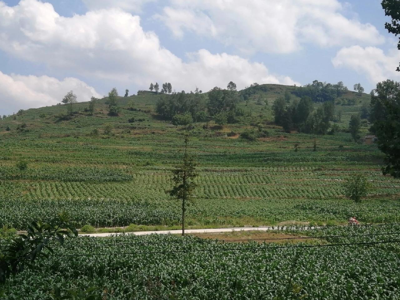 通过对自然村寨的观察发现，自古人类迁徙，总是找个依山傍水，较为平坦之地建村而居，