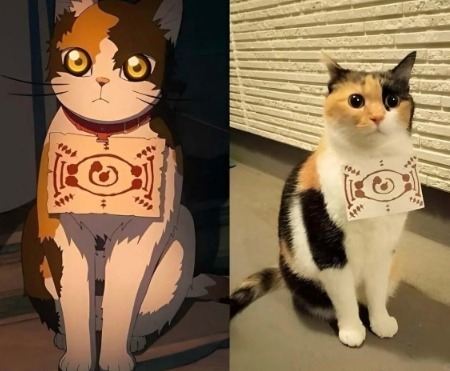 最完美的cosplay并不存在，但... 
