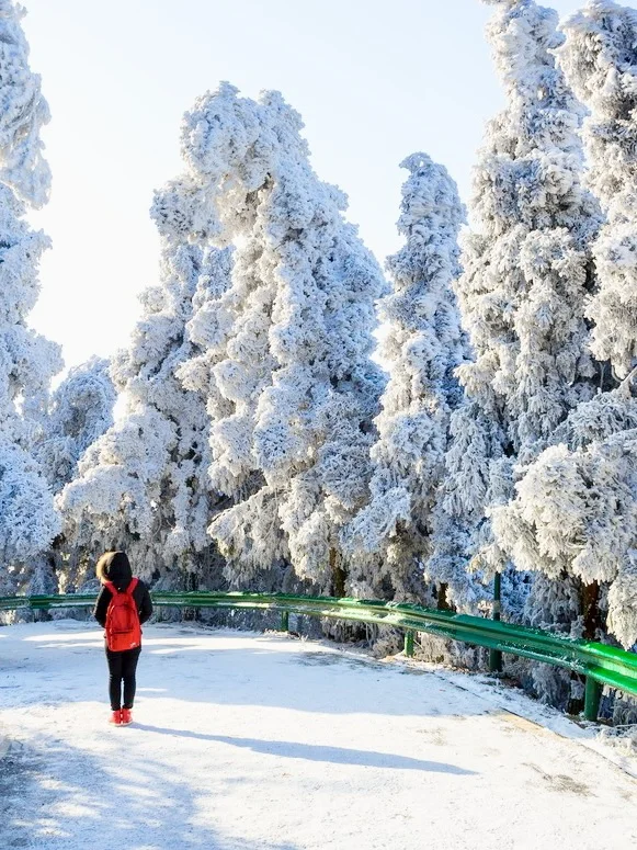 可惜你不来衡山，不知道南方雾凇雪景有多美