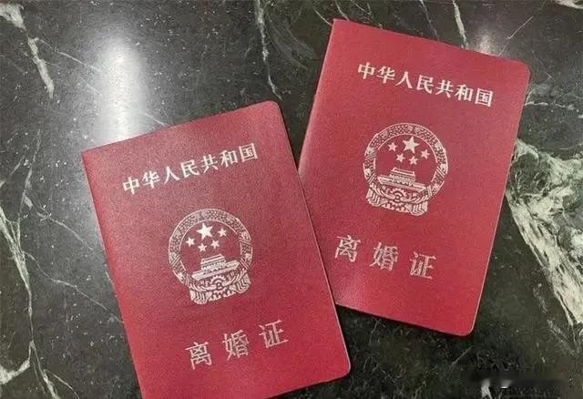 湖北，武汉。男子因婆媳不和与妻子离婚，妻子为了得到孩子的抚养权，宁愿放弃抚养费并