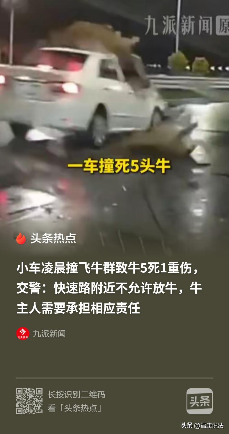 广东阳江，司机凌晨3点在雨夜中开车，突然，发现快速道上有一群牛，根本来不及躲，径