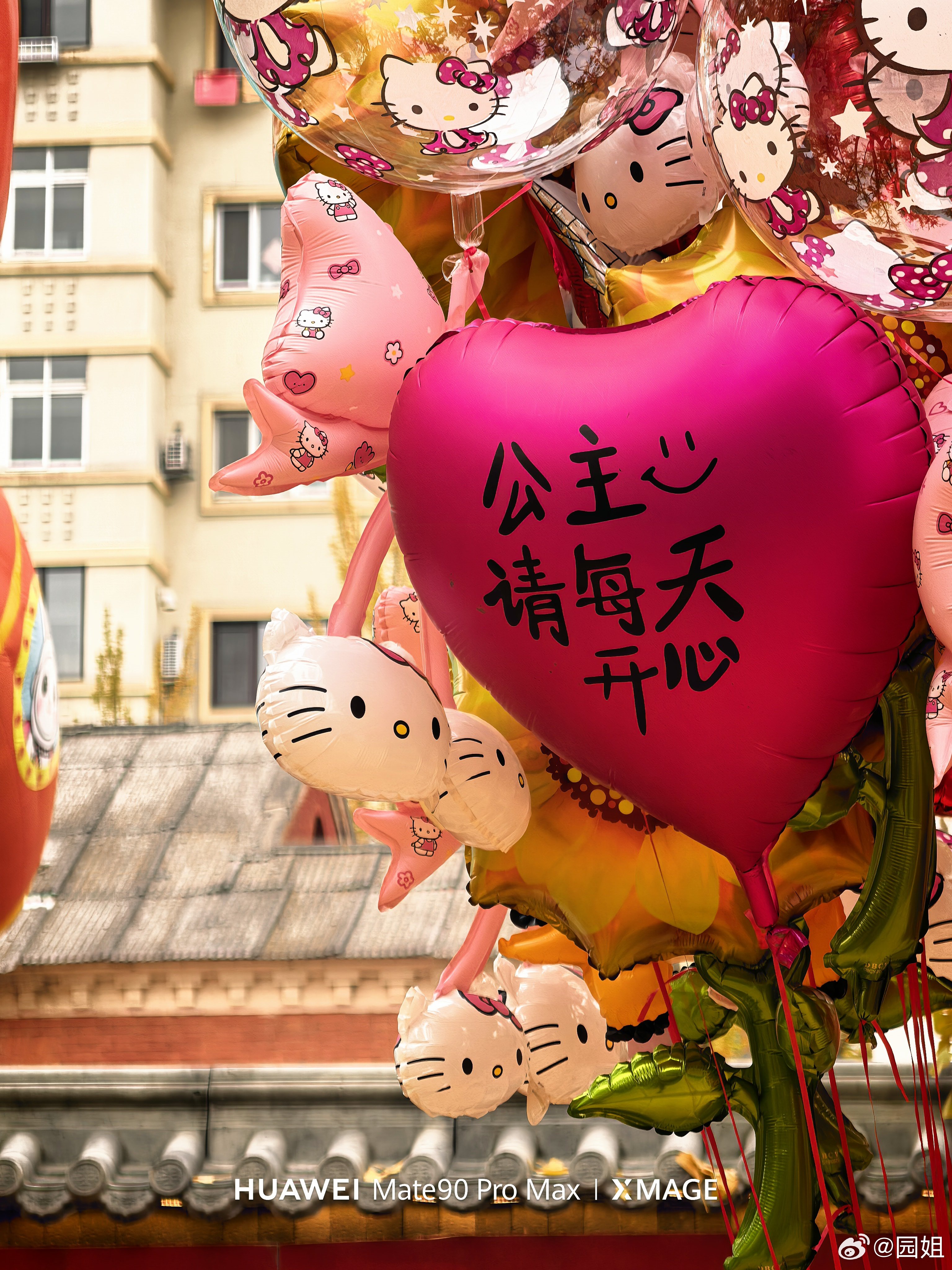 今天是丹东第三届银杏文化周开幕，银杏是丹东市的一个标志，每年秋天都会迎来很多外地