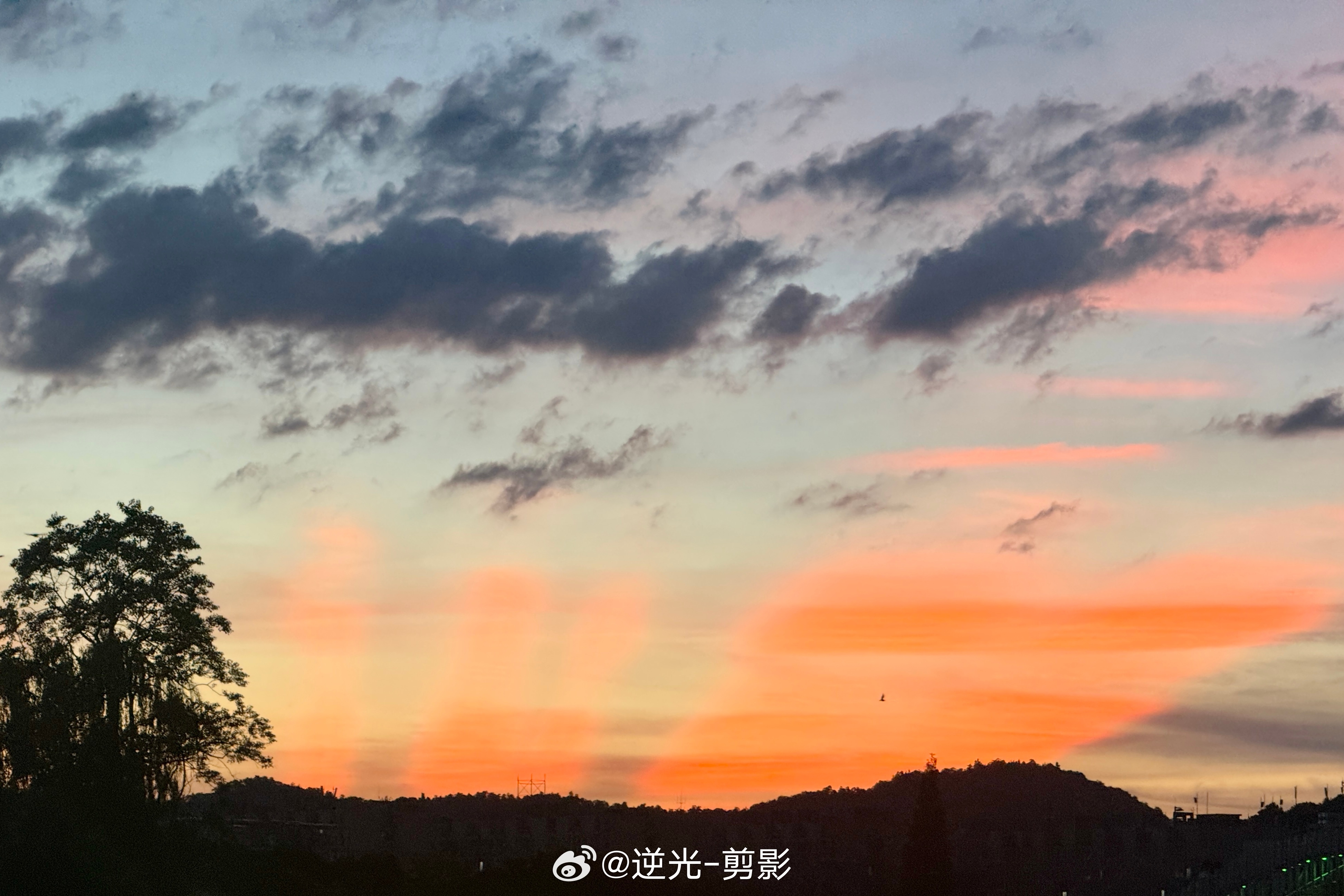 太好看了就是热🥵 