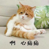 贝爱玩体育