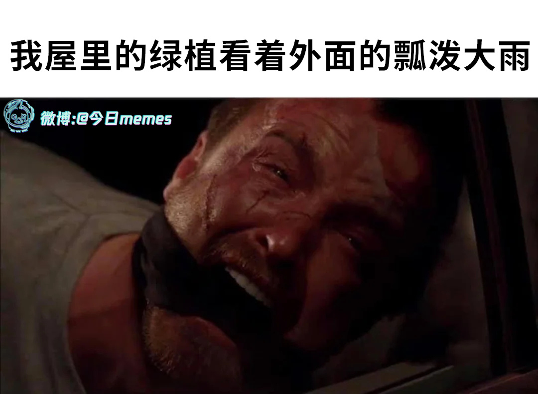 我在这！（9gag）今日meme[超话]今日memes ​​​