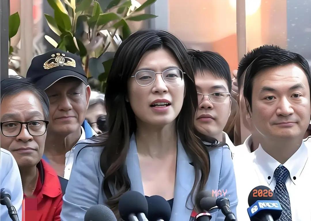 郑丽文；两岸未来之发展不接受任何的强迫和战争！
不要战争风险那当然是“乐见其成”