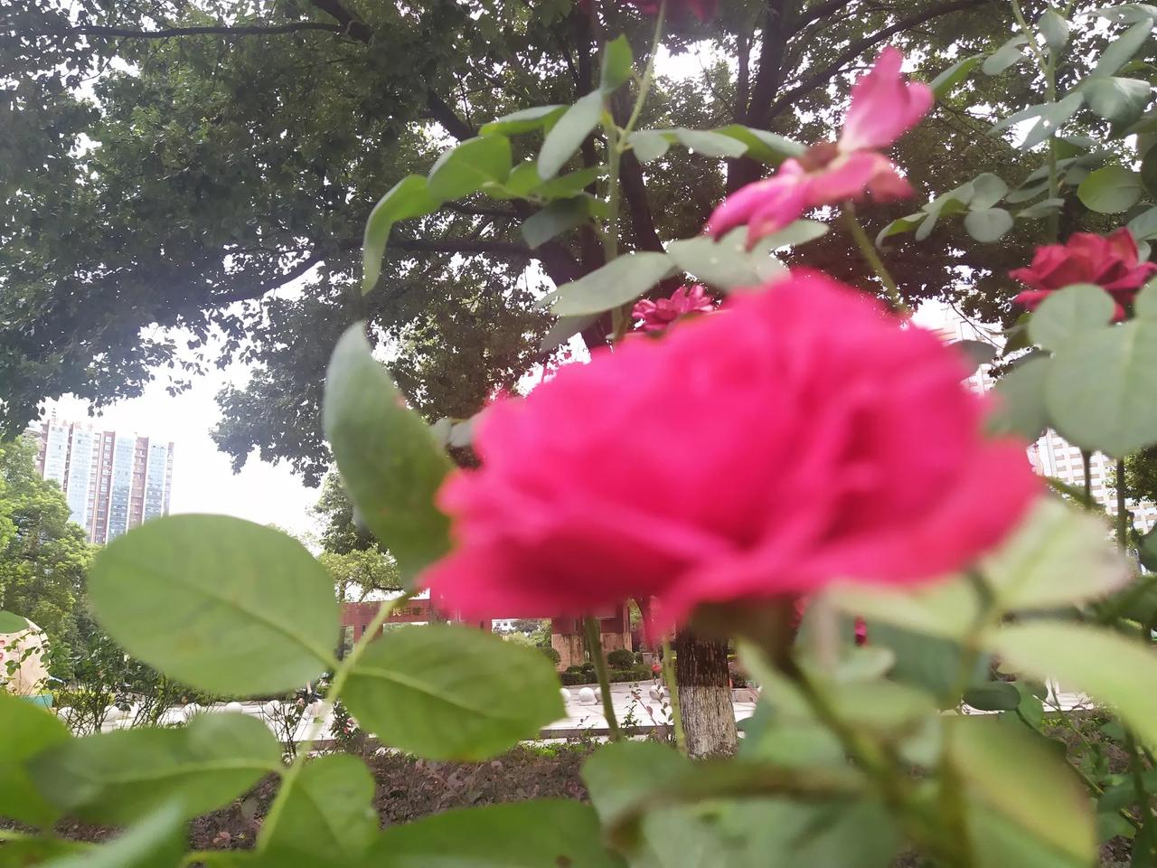 郭淮戍边魏名将，镇关三十多余年。
太原郡阳市县人，雍州刺史封都侯。郭淮年轻随曹操