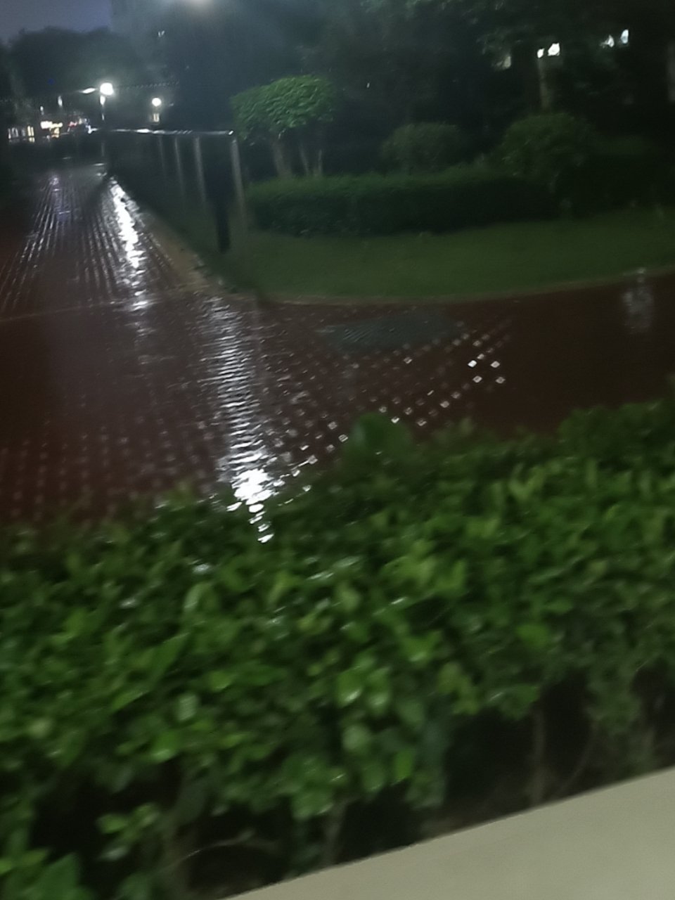 广西南宁，每天晚上准时下雨，下得又大，持续也久 
