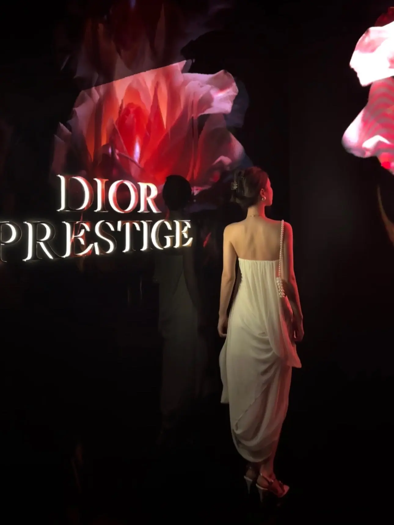 ✖️Dior