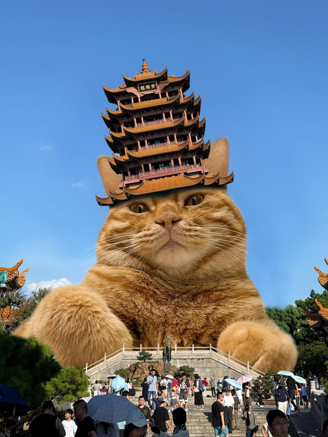 黄鹤楼，我先戴走啦👋