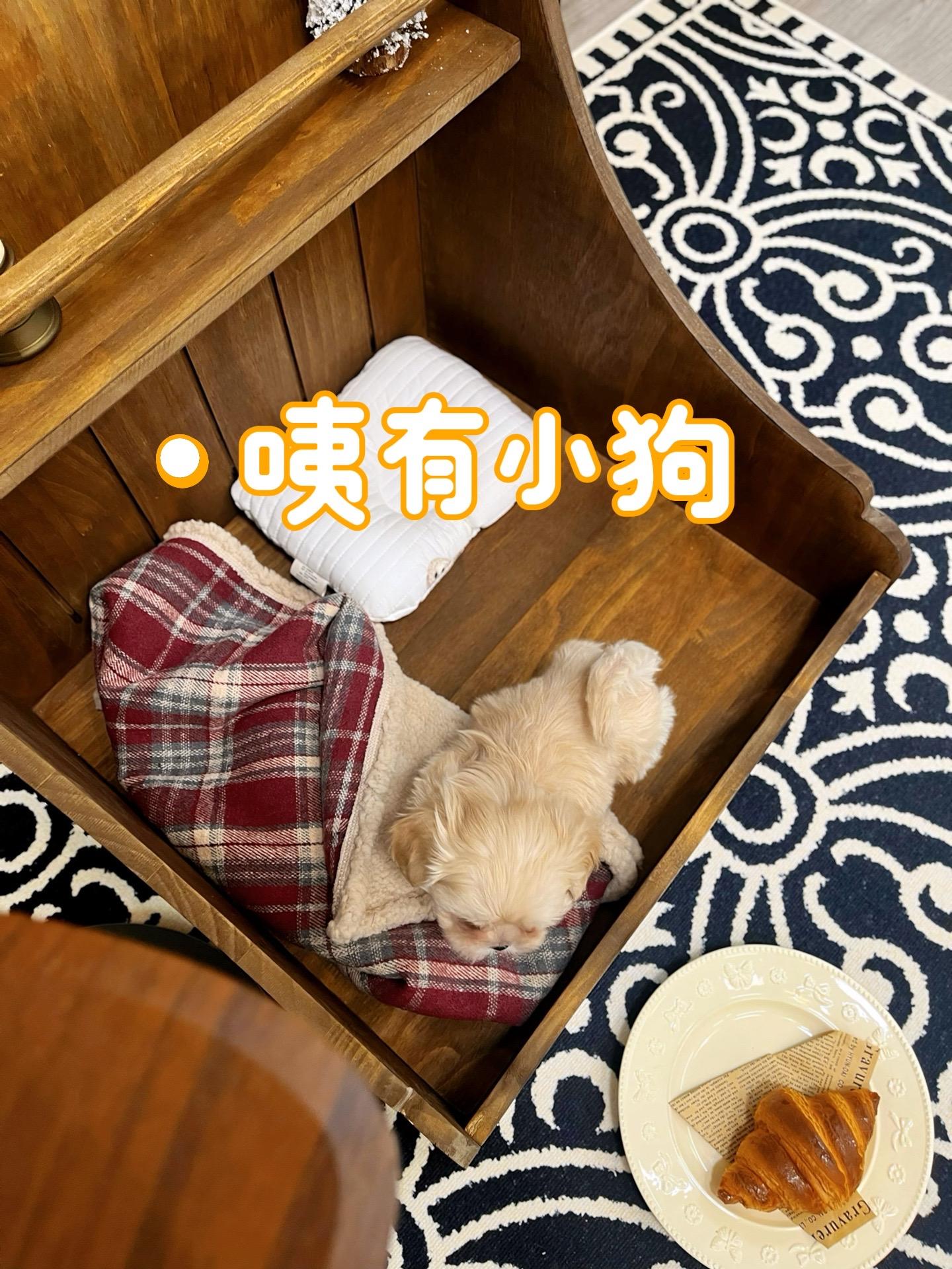 泥嚎～在吗？拍个照📷。