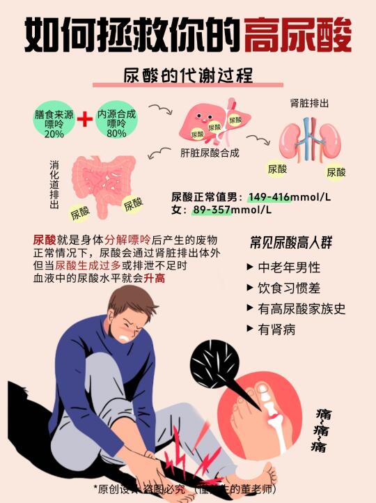 保姆级指南 ✅预防高尿酸如何做❓