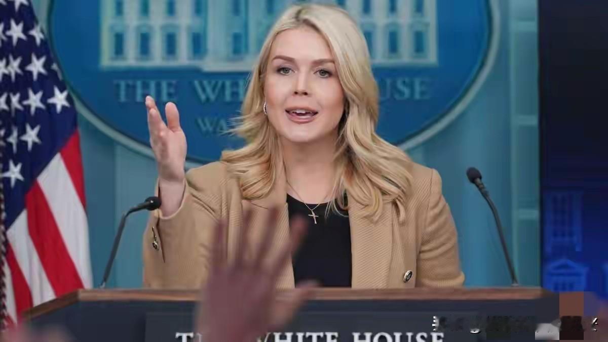 今天凌晨，卡罗琳在例行记者会上对外确认：“由特朗普总统一手筹建的‘和平委员会’已