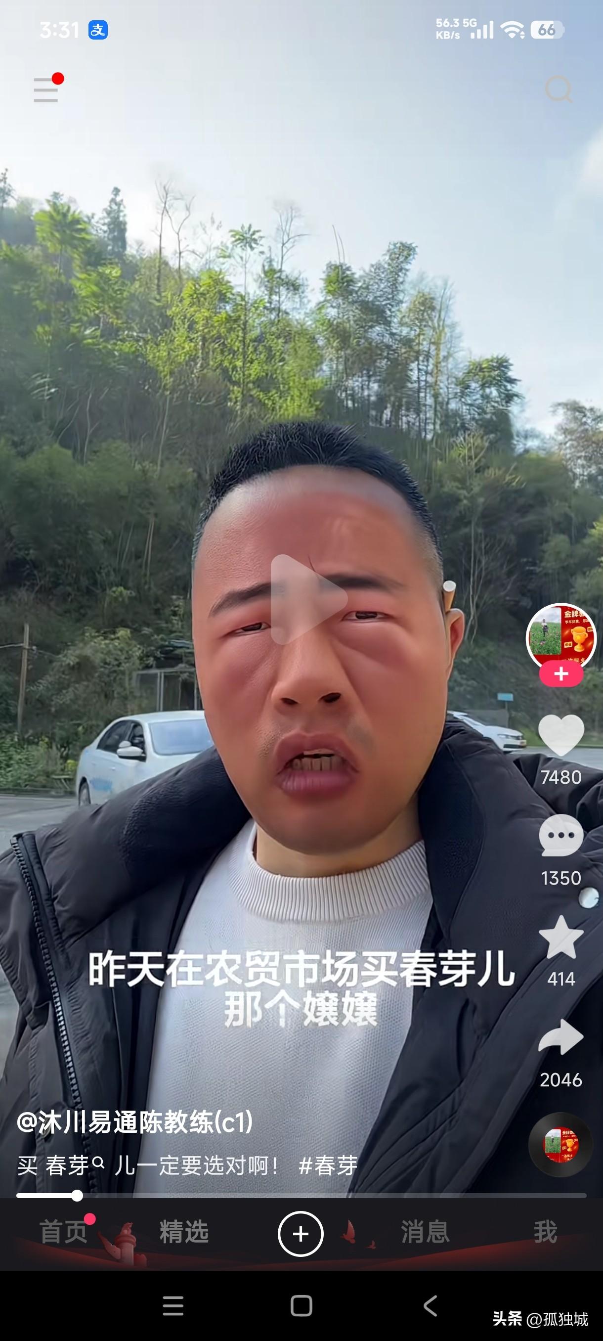 四川这个憨憨差点把我笑死了，他把香椿芽和漆树芽分不清吗？漆树碰都不敢碰，居然被他