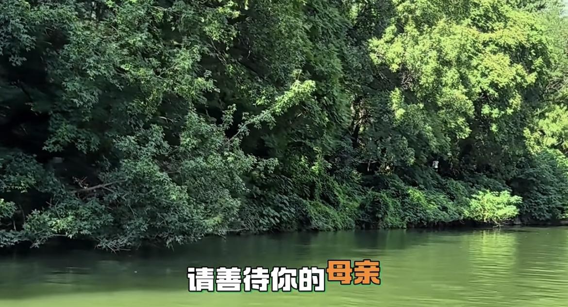 妈在，家就在。妈走了，人生只剩归途。

这世上最等不起的人，就是母亲。你忙着挣钱