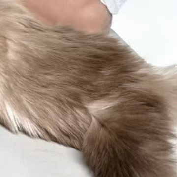 有一分热，发一分光。就令萤火一般，也可以在黑暗里发一点光，不必等候炬火。