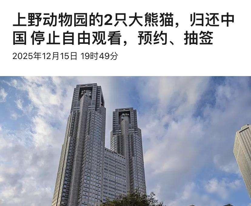 上野熊猫要走，
游客疯抢最后一眼，
谁来接替这53年回忆？

2025年12月1