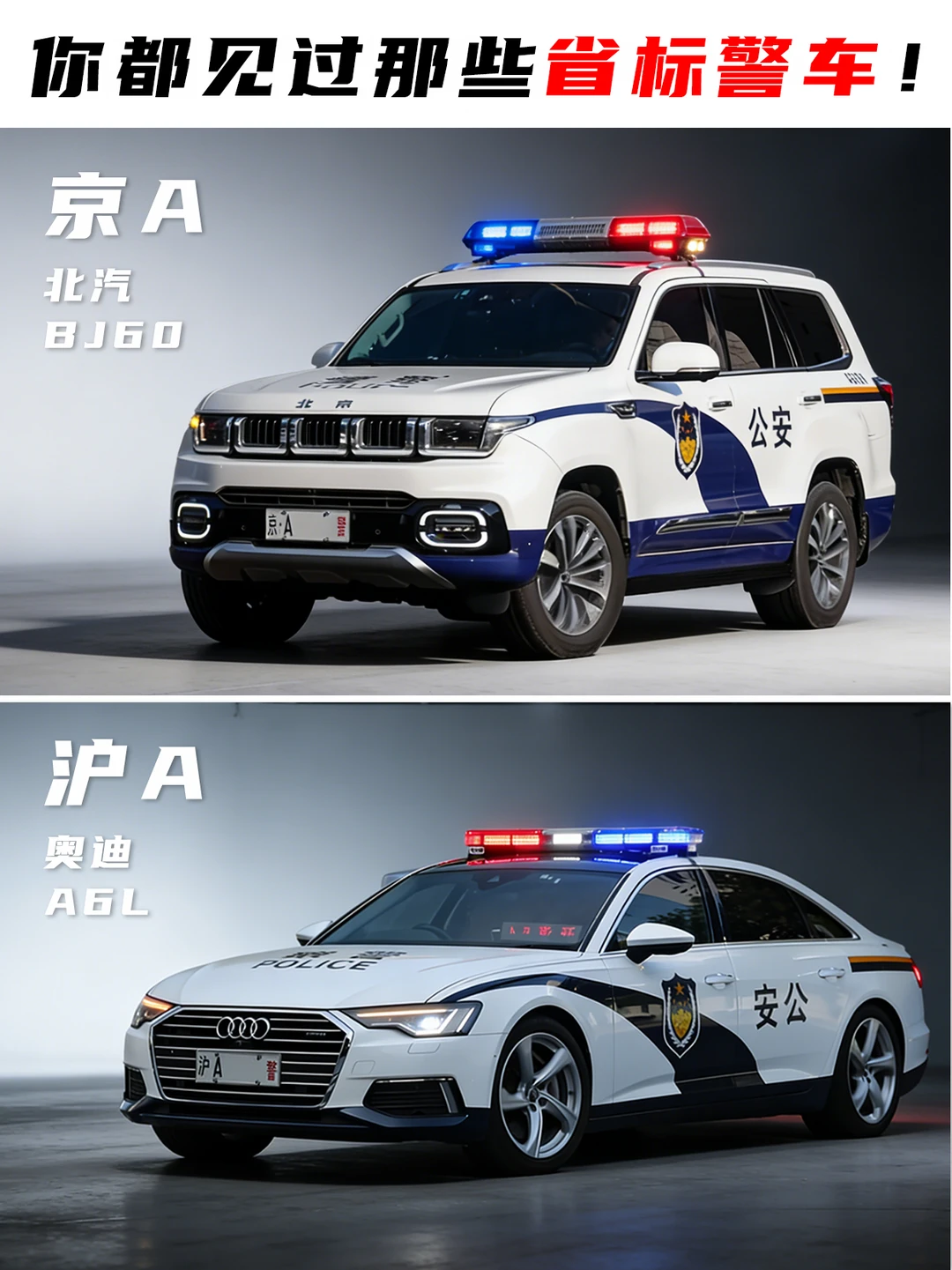 最常见的各省警车