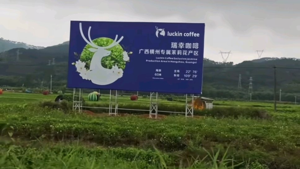 茉莉奶白称广西洪灾对原料供应影响有限曾经繁花盛放、香气四溢的花海，如今被洪水吞没