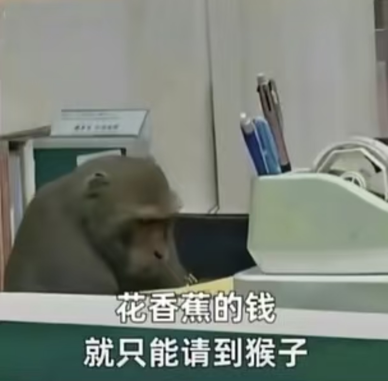 出个工作，九成新，假一赔十，每天可以工作十二小时，每周可以996 ，接受小刀，北