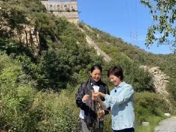 倪萍泪别敬一丹：三千公里之憾
凌晨阿勒泰的夜色凉得透骨，我望着窗外不敢合眼，心里
