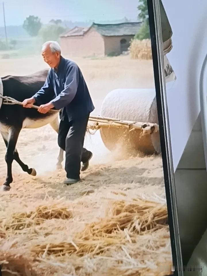 就是把麦场上种的农作物提前收获后，洒上水，推上石滚反复在麦场上打圈圈，至到麦场辗