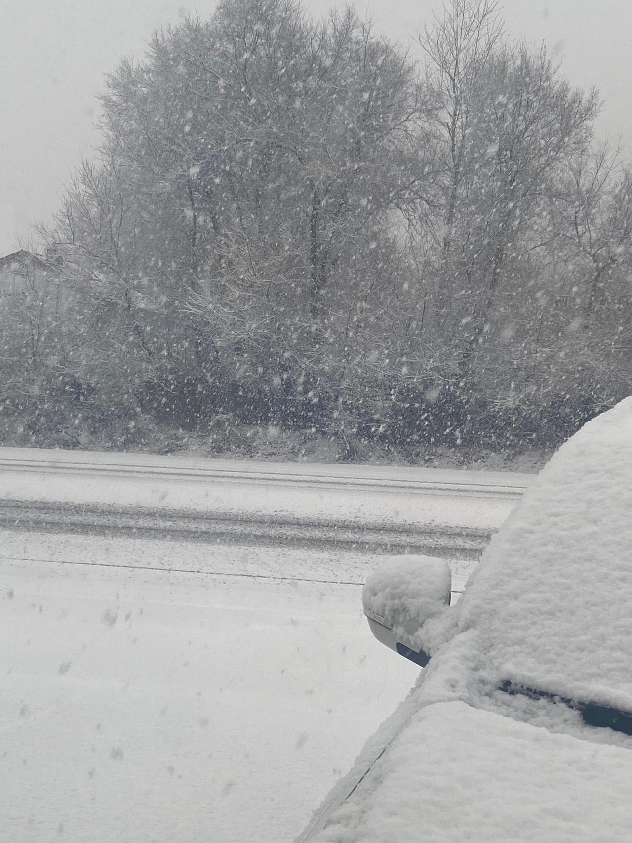 又如此讨厌冬天……#雪 #2023第一场雪