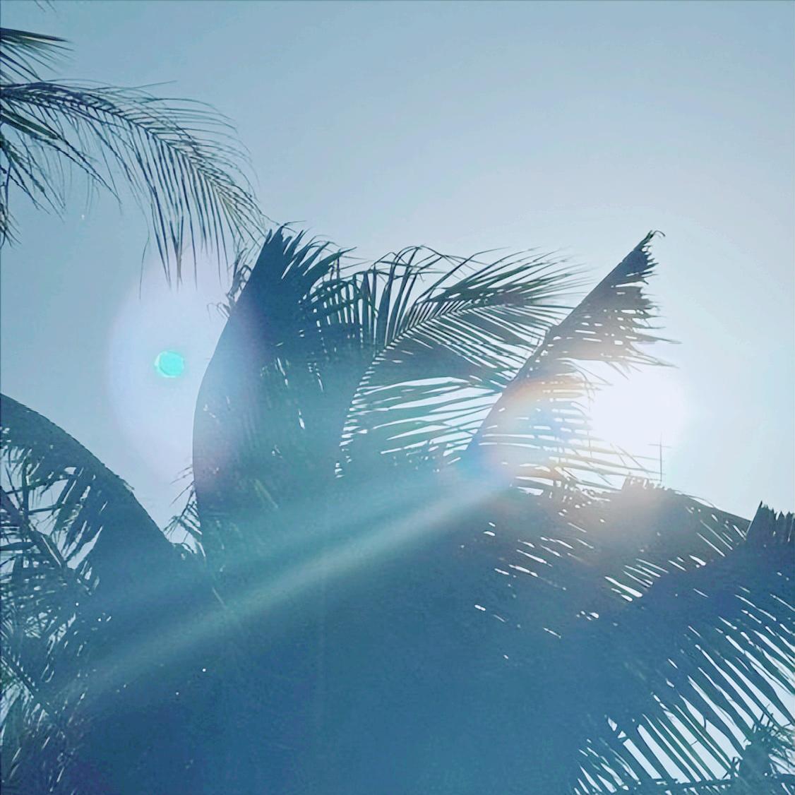 胡文平院士履新厦门大学
 
11月28日，厦大传来好消息，胡院士履新该校。
 