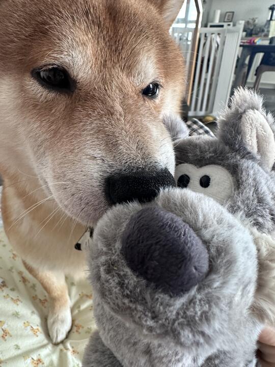 Let me out