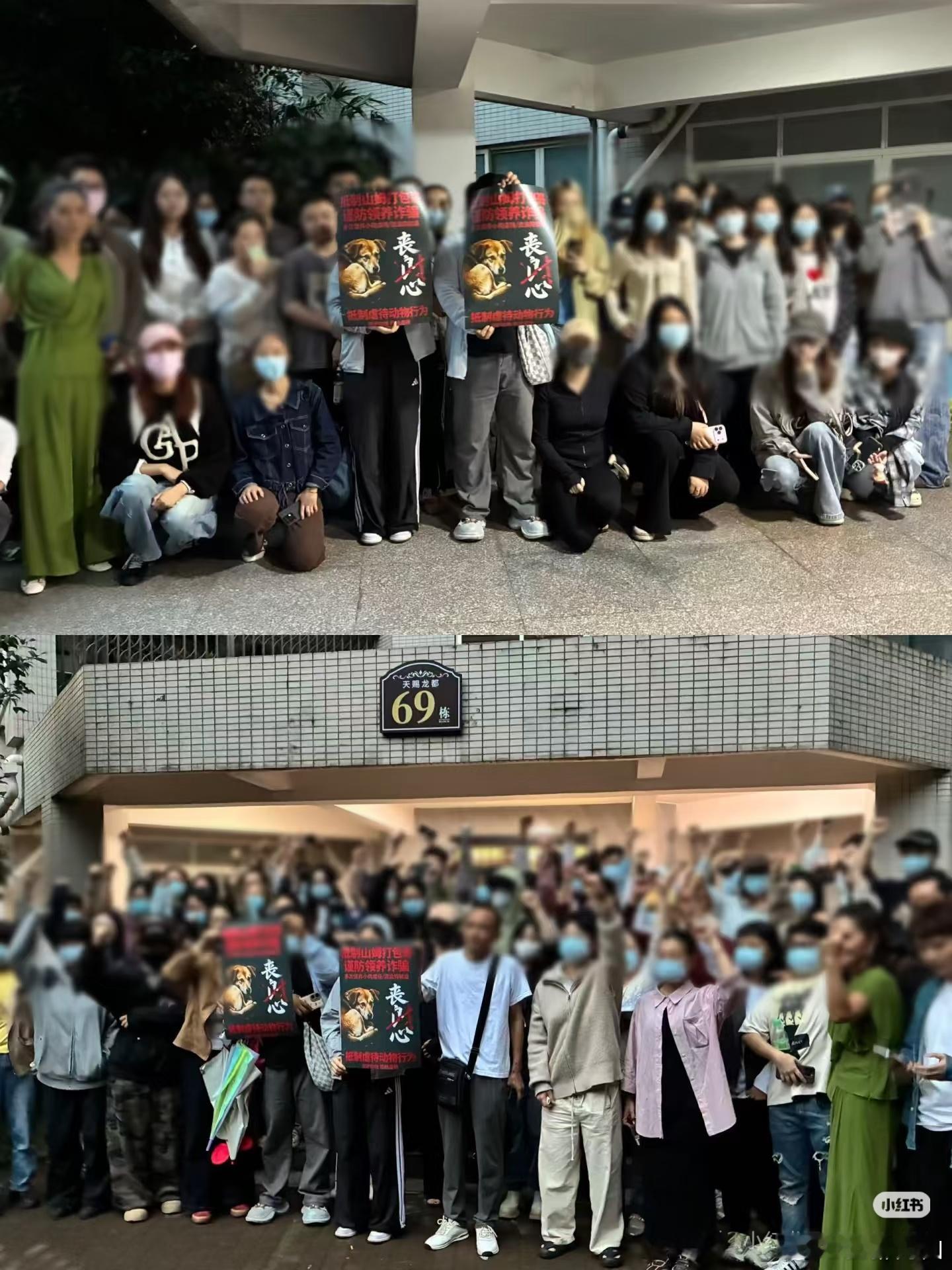 我就爱❤️重庆！重庆火锅超好吃，重庆人超仗义，重庆山姆小斯儿不得好死。 