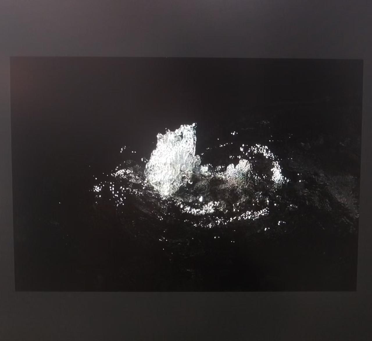 目击道存/心照神交，夏天的诗。

光影赋予物体与灵魂，散发出迷人的魅力，它们即现