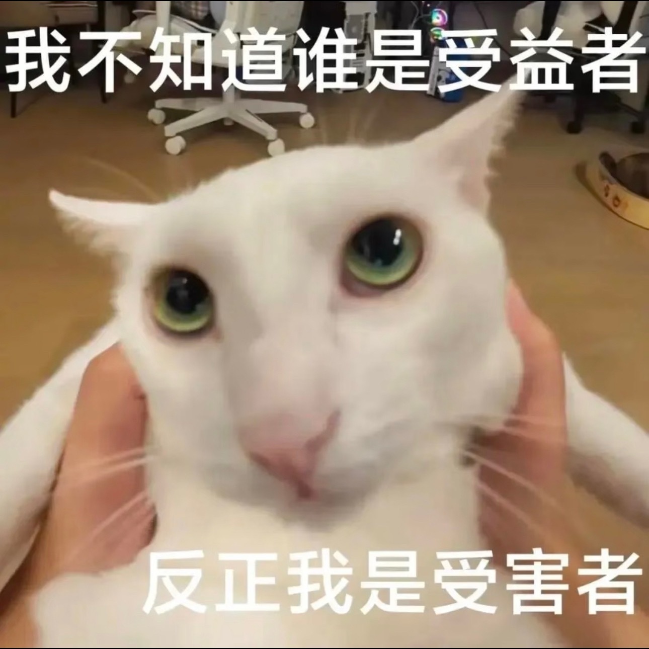 这个千香要不然赔我点钱吧，我能坚持看到现在属实是不容易 