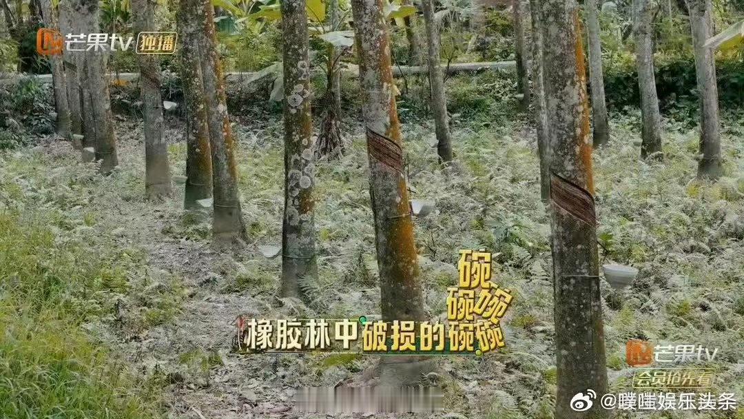 庞博预判的倒霉发生了忙忙碌碌寻宝藏寻宝小队快乐源泉庞博，脱口秀功底加持，高能笑点