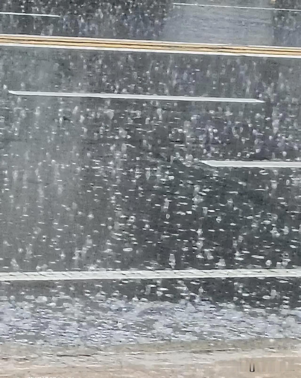 大雨来得猝不及防，雨点密密麻麻砸在路面上，溅起一片片水花。远处的马路被雨雾蒙住，
