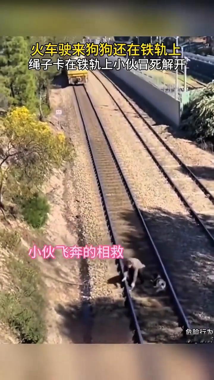 火车驶来，狗狗还在铁轨上，绳子卡在铁轨上，小伙冒死解开。
火车马上驶来，狗狗还在