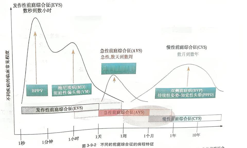 不是所有的耳源性眩晕都是耳石症(BPPV)神经源性头晕 头晕耳鸣耳聋