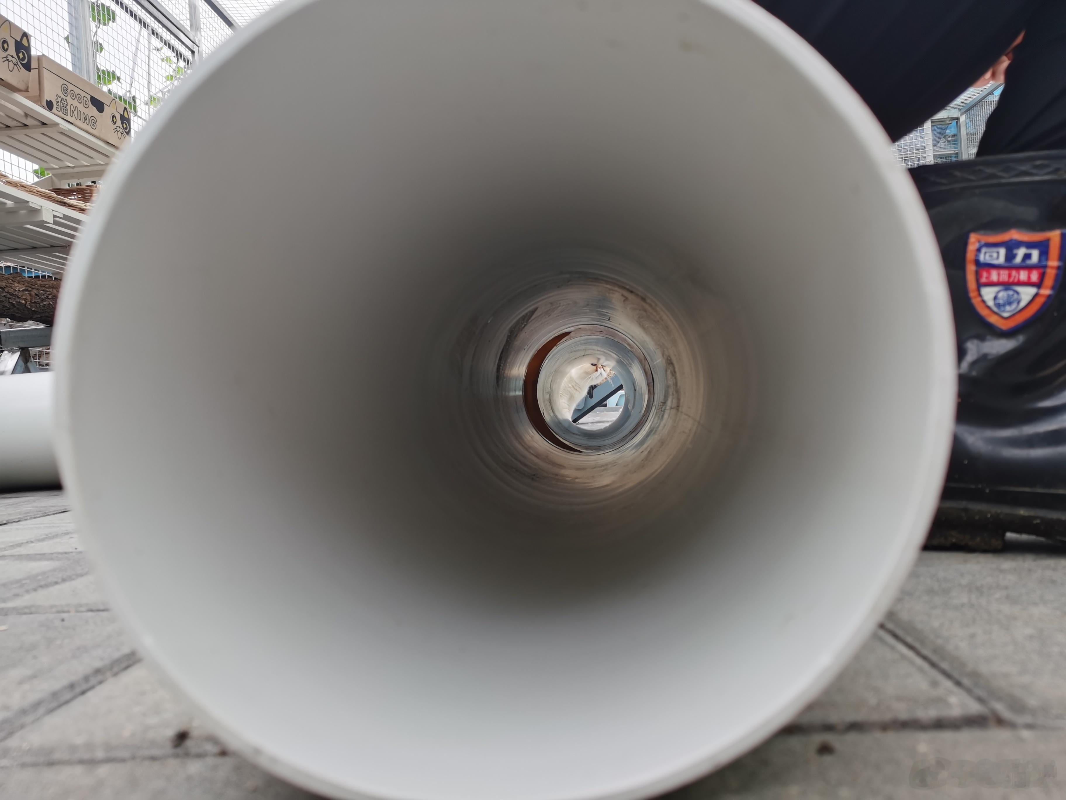 买的猫隧道玩一段时间铁丝就支棱出来了，又被尿的透透的，老吴拿水管给做了一个，尿了