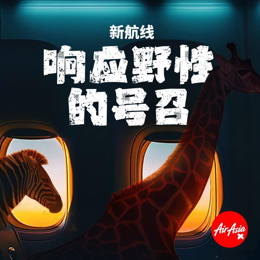 亚航神秘新航线，我看不懂，大家猜一下，这是哪个国家啦？乐玩君明天就要飞到心心念念