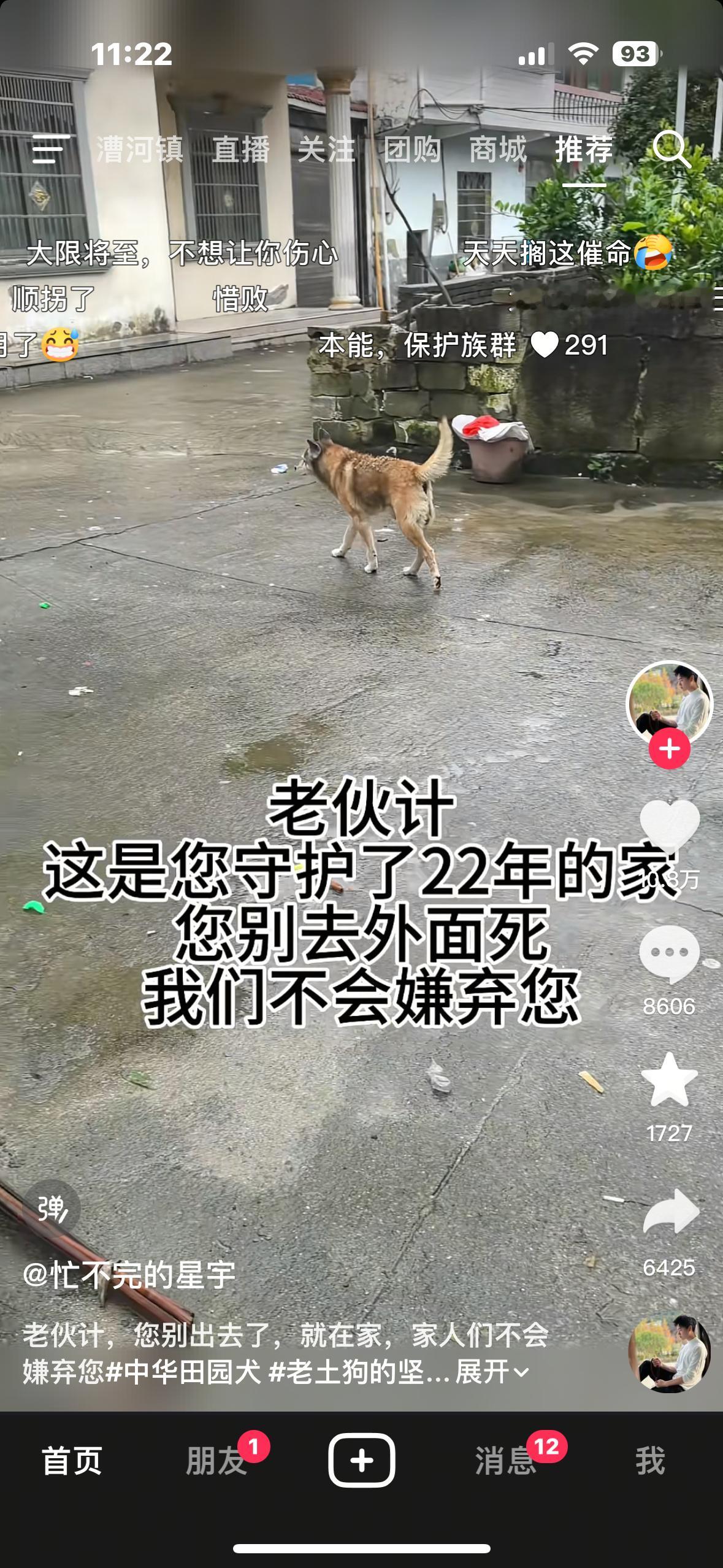 搁着拿狗当推流呢 