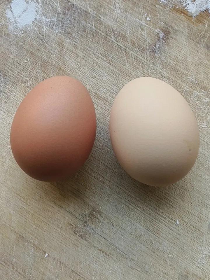 左边这个是东方甄选推荐的西艾尔鸡蛋。
右边这个是超市标价3.59一斤的土鸡蛋。