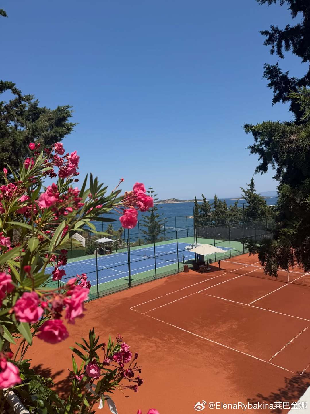 夏日碎片 ☀️🍉🌊小小Chill一下Summer photo dump ☀️