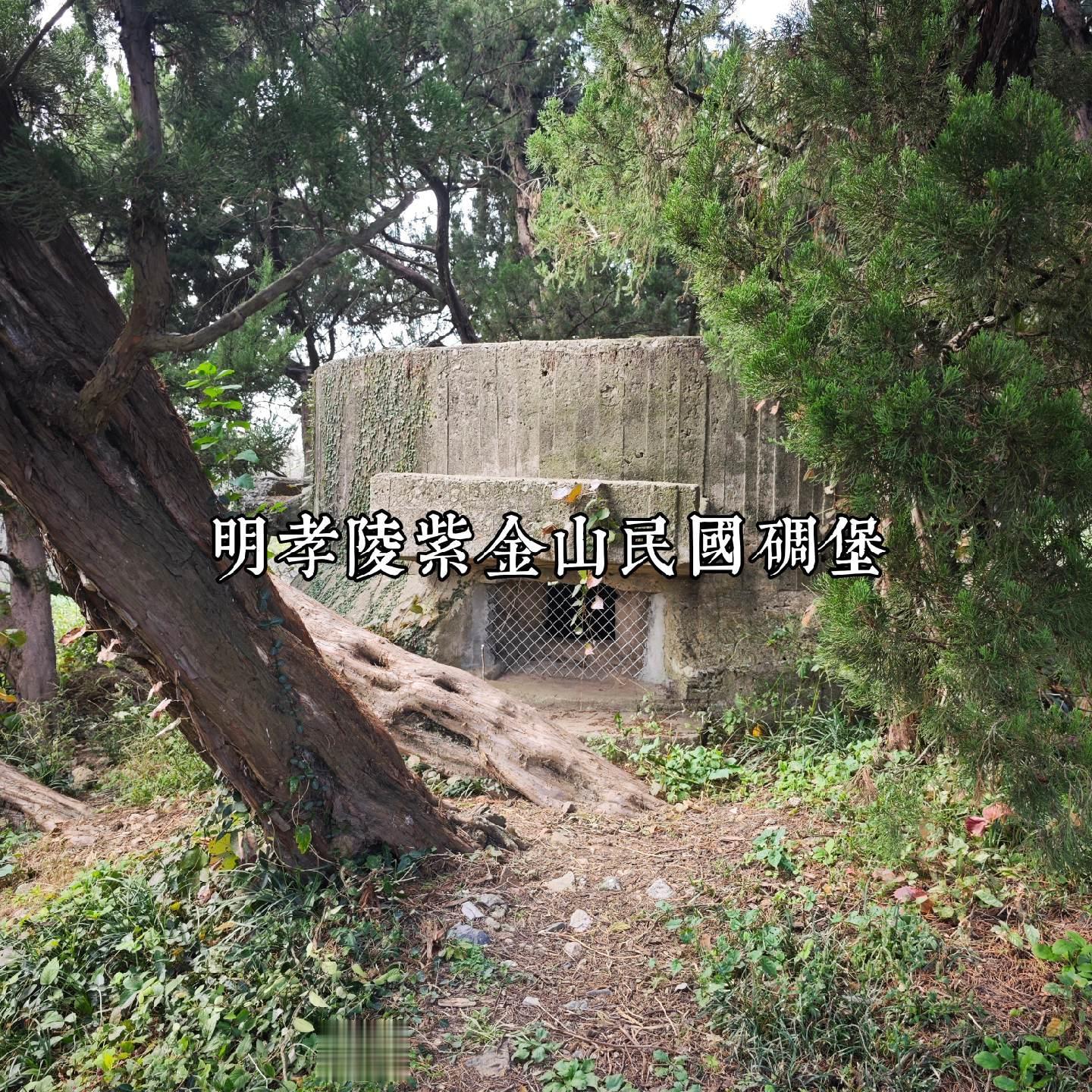 明孝陵紫金山民国碉堡群。紫金山后再无教导总队 明孝陵地区紫金山民国抗日...