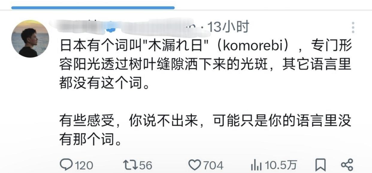 有一位华人男子发文表示：日本有个词专门形容阳光透过树叶缝隙洒下来的光斑，这在其他