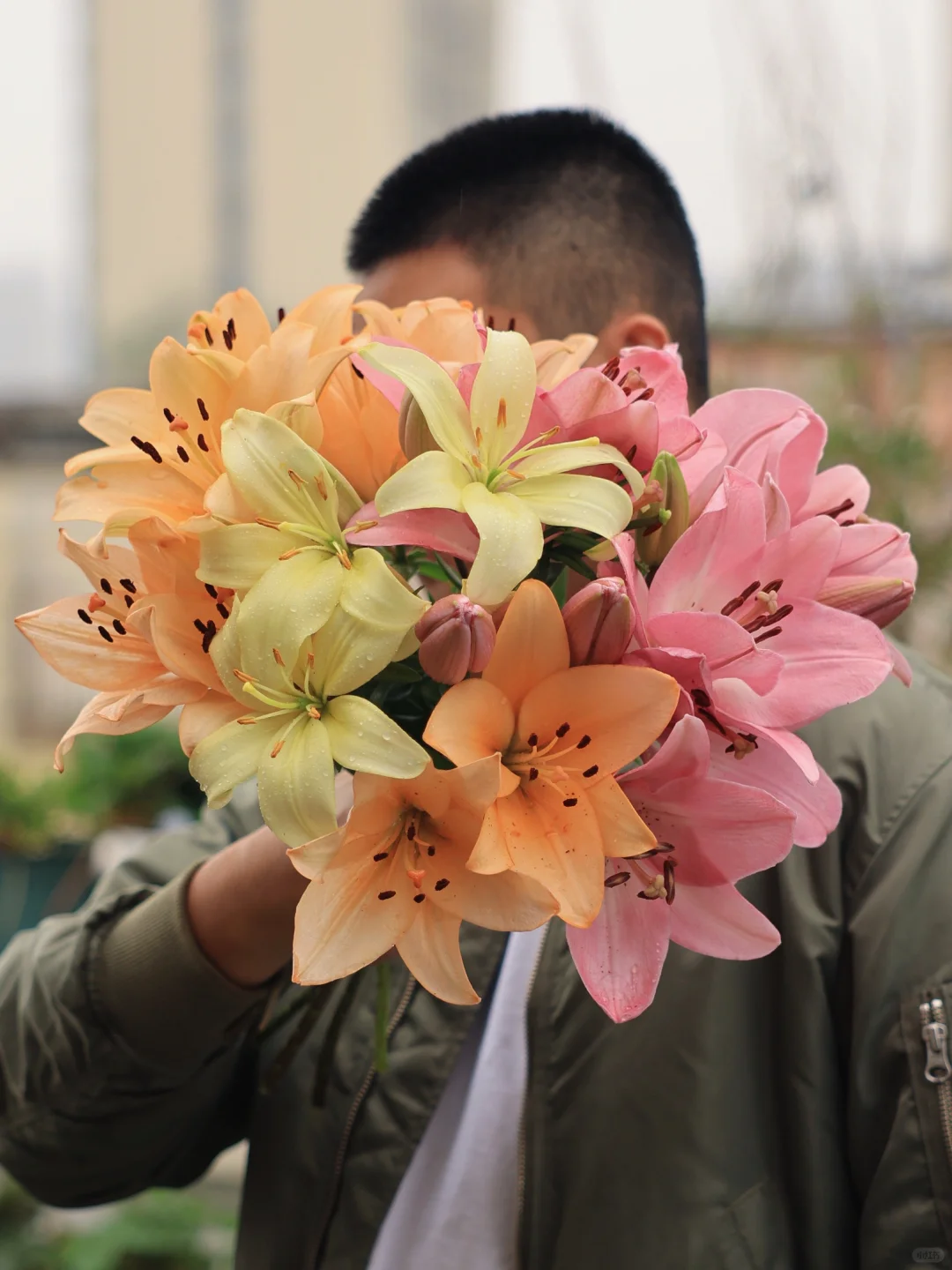 ✌️😉💐 自我介绍一下，这都是我自己种的百合