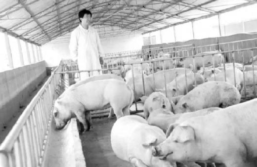 羁押485天，无罪释放后亿万企业崩塌，负债3000万，为何赔偿仅41万？连违规追