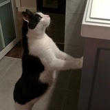 甜甜松侃侃娱乐