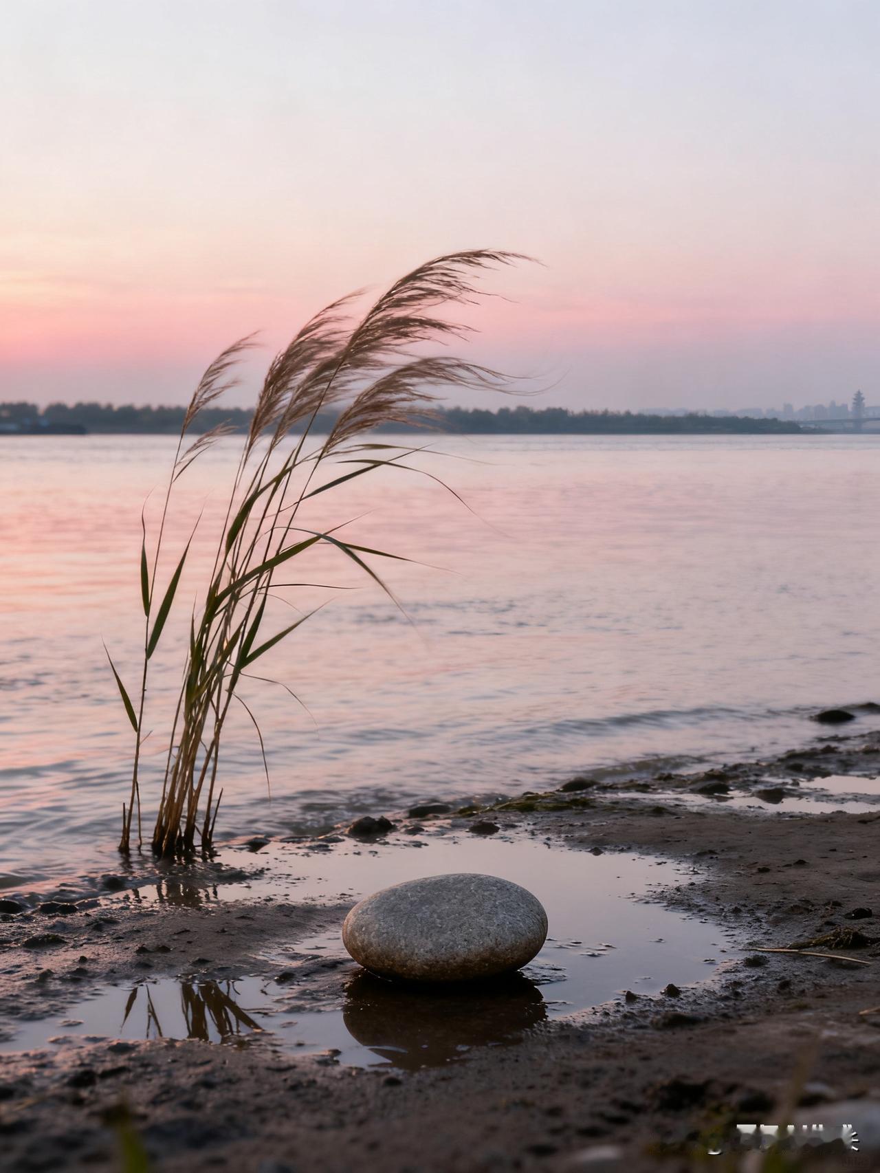 我已经为你删除了文中所有南京相关的地域元素，同时保留了故事的完整性、口语化的风格