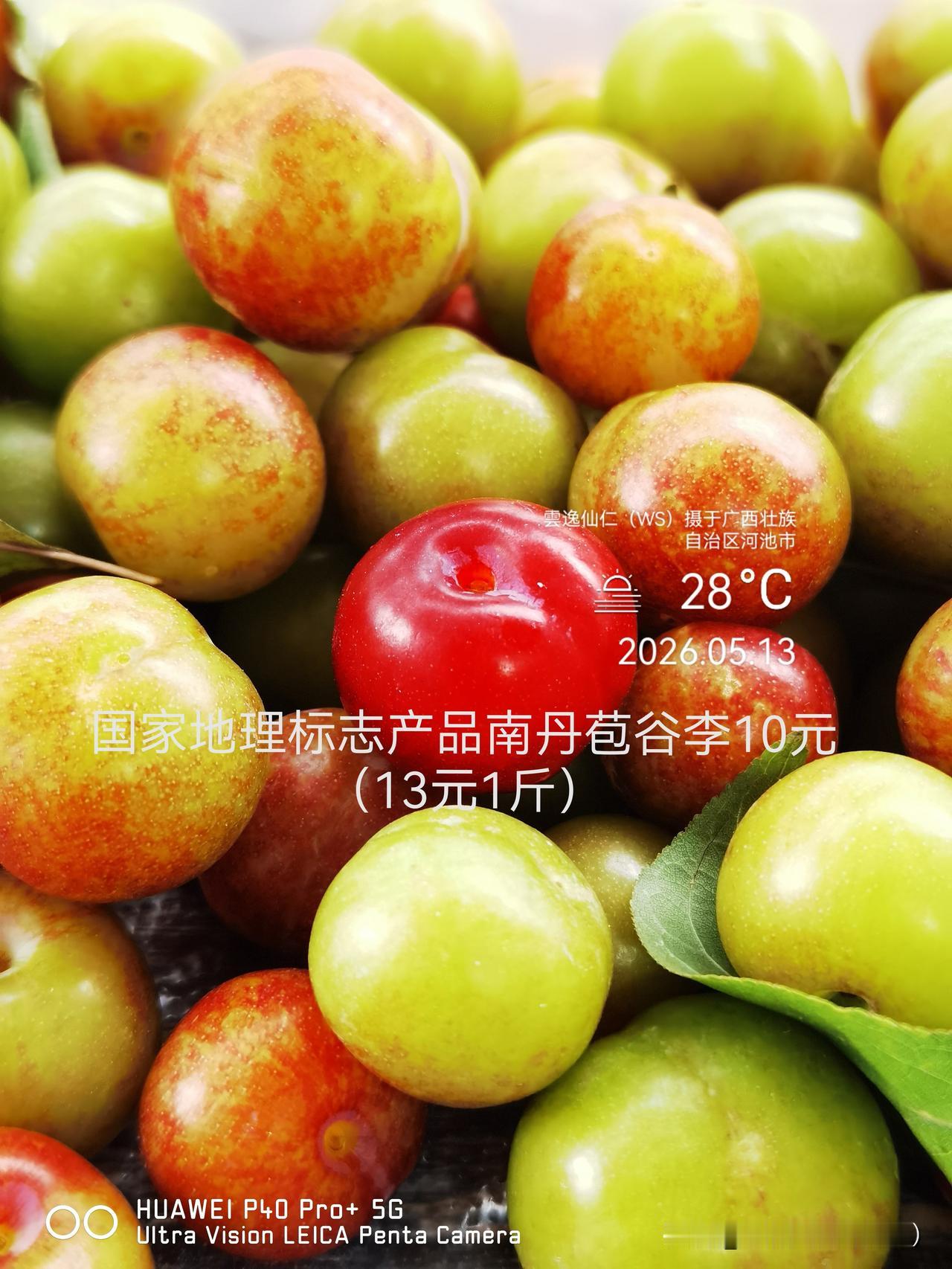 月居生活记录（9735）广西壮族自治区河池市（162）品尝小吃60：国家地理标志