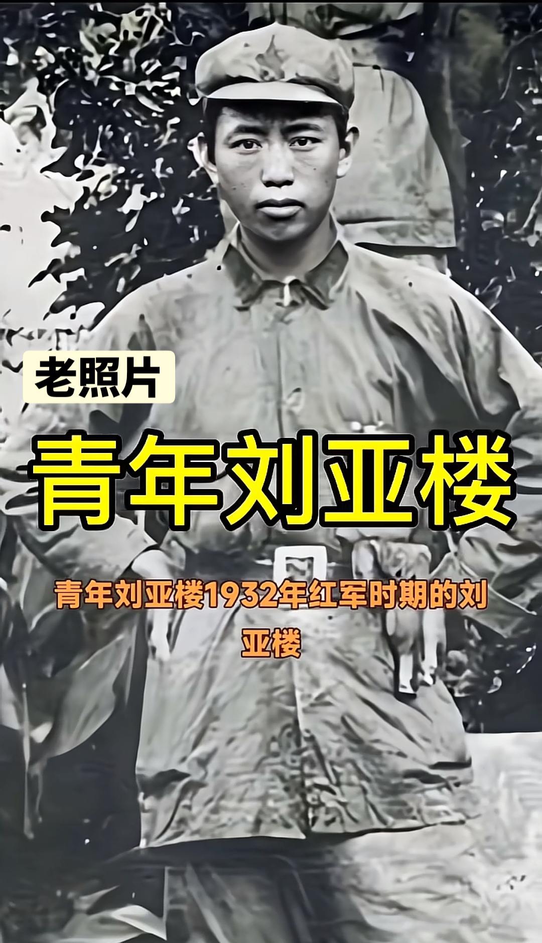 将军