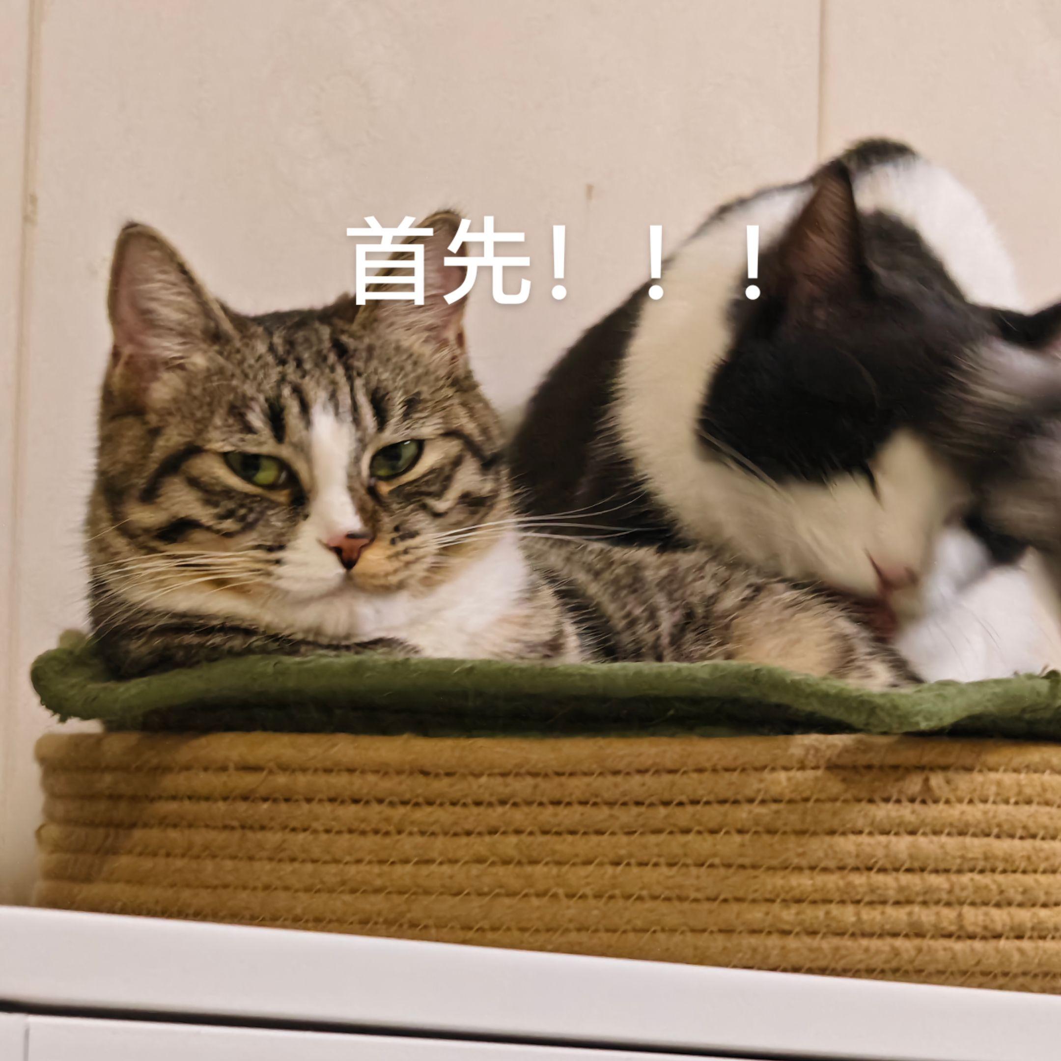 神经……